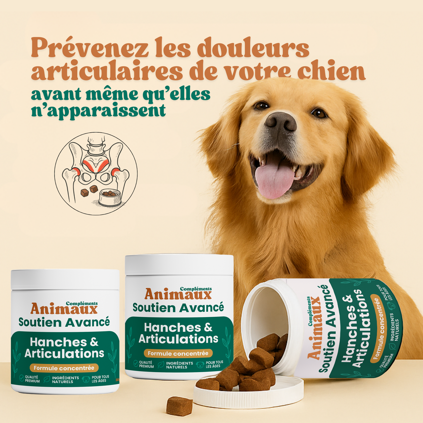 Hanches & Articulations