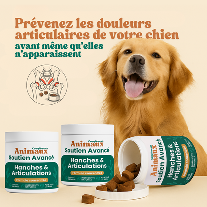 Hanches & Articulations