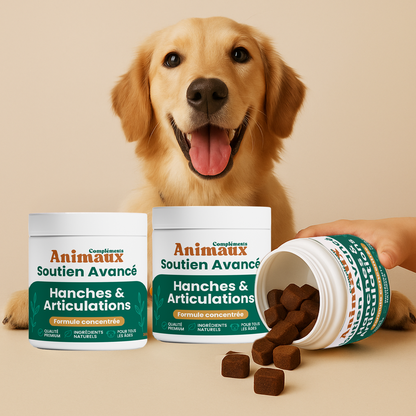 Hanches & Articulations