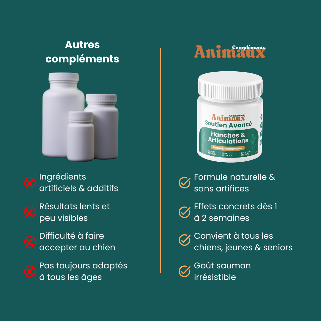 Hanches & Articulations