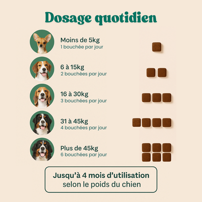 Hanches & Articulations